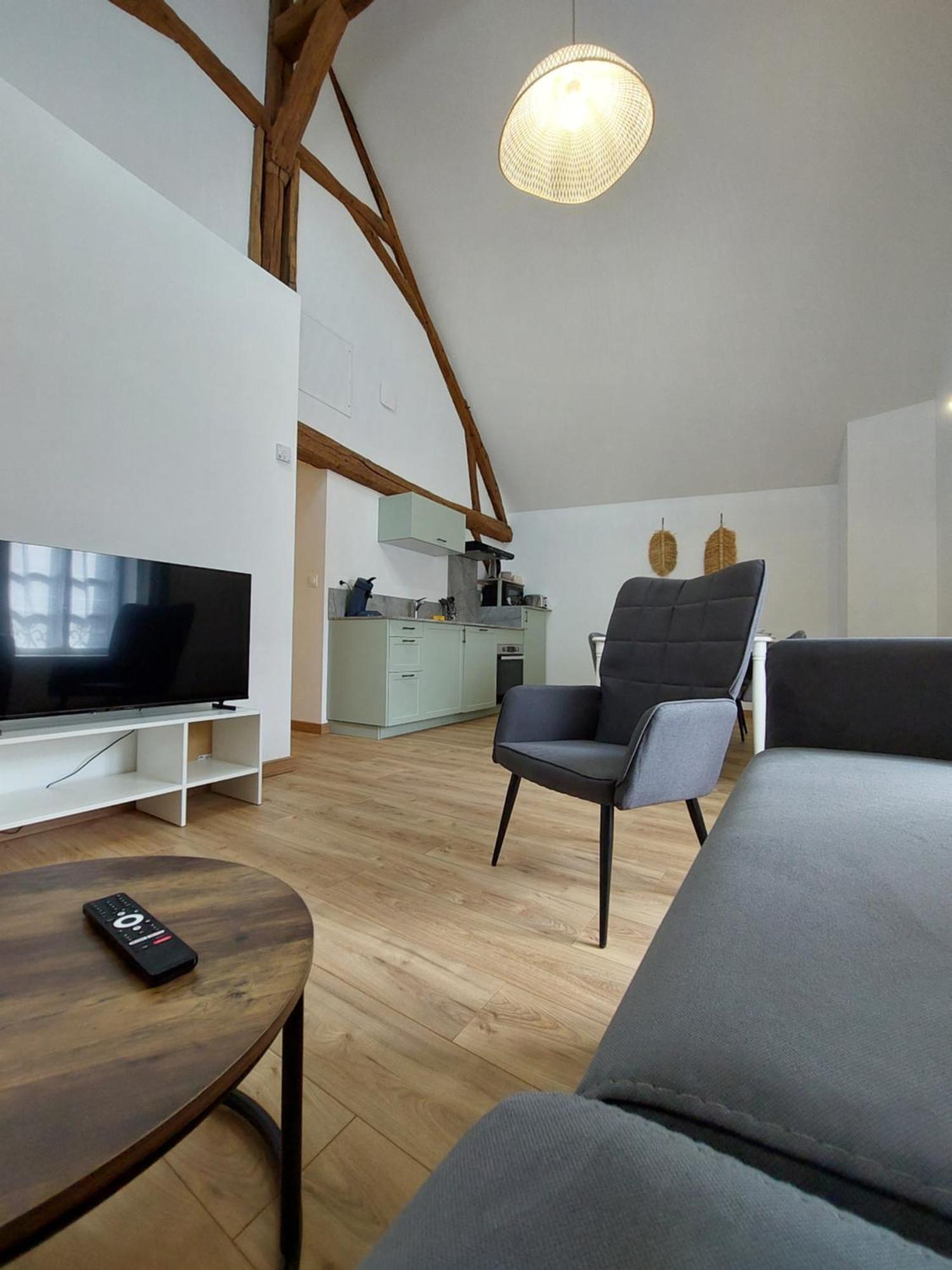Appartements L'Hirondelle Божанси Экстерьер фото